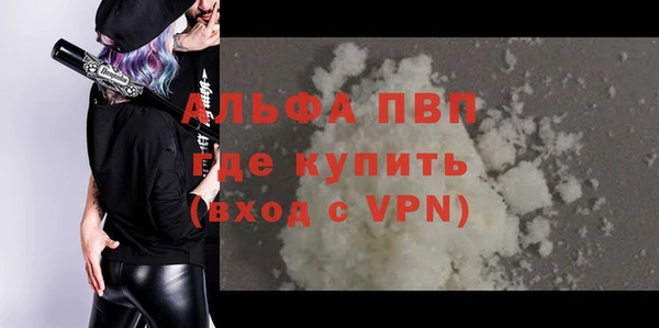 ГАЛЛЮЦИНОГЕННЫЕ ГРИБЫ Майский