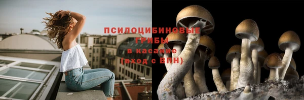 ГАЛЛЮЦИНОГЕННЫЕ ГРИБЫ Майский