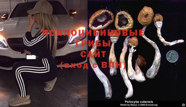 первитин Мегион