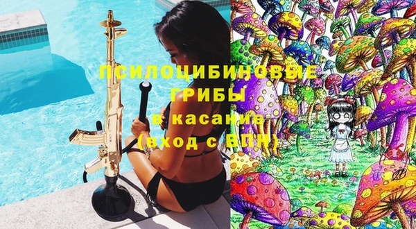 гашик Дмитров